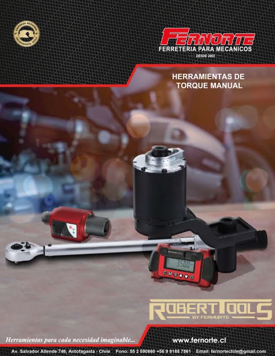 12 SUPLEMENTO TORQUE MANUAL-01